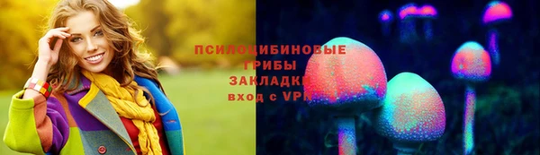 гидропоника Аркадак