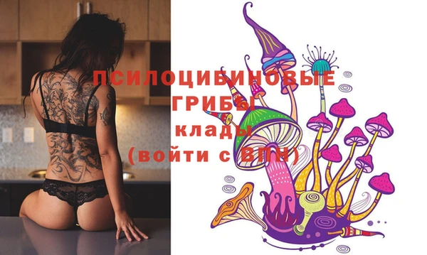 гидропоника Аркадак
