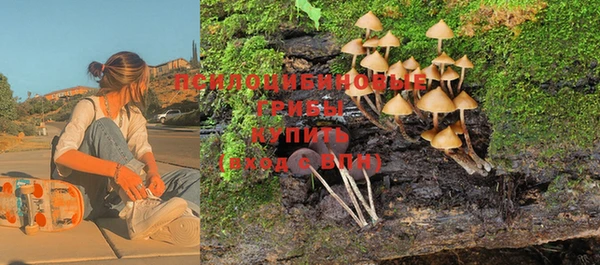 гидропоника Аркадак