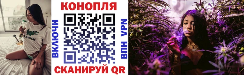 Бошки Шишки ГИДРОПОН  Сальск 